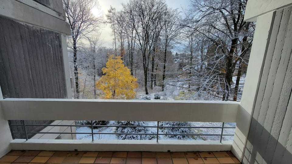 Natural landscape, Winter, View (from property/room), Balcony/Terrace