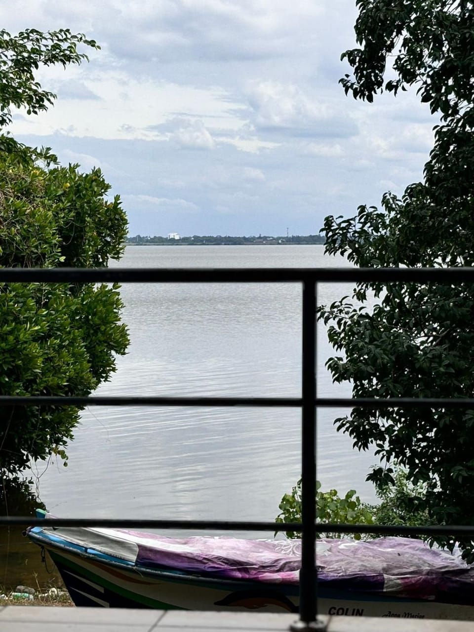 View (from property/room), River view