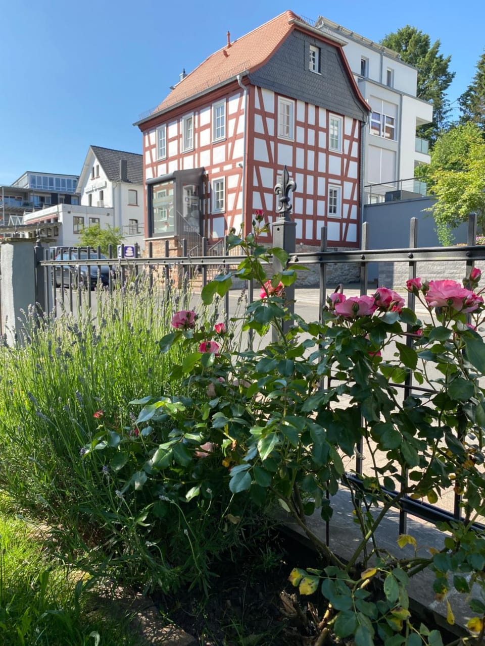 Garden view