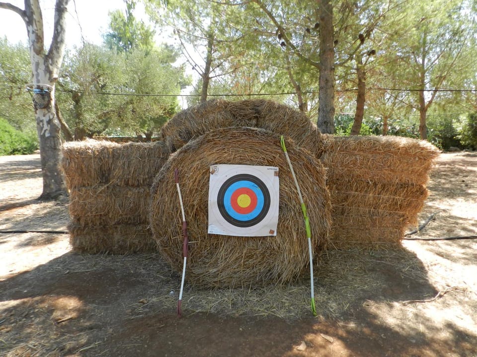 Children play ground, Darts