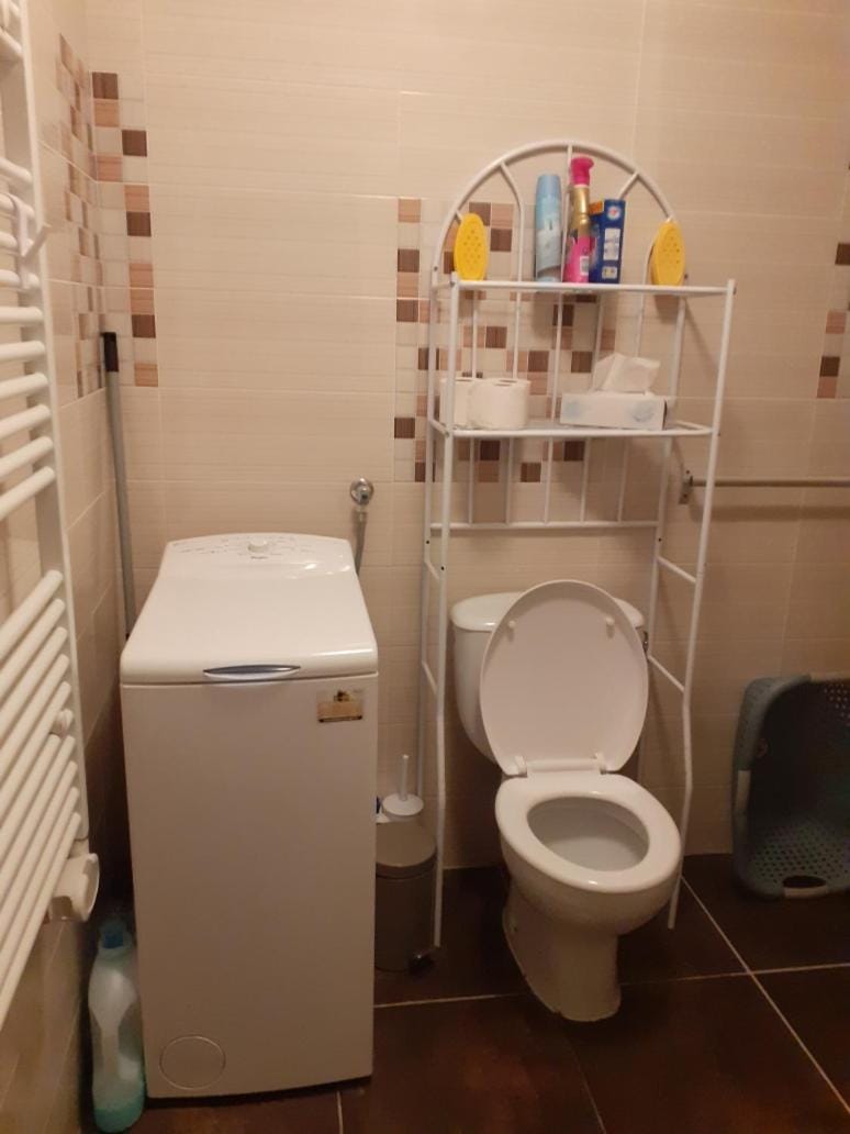 Toilet, Bathroom, washing machine