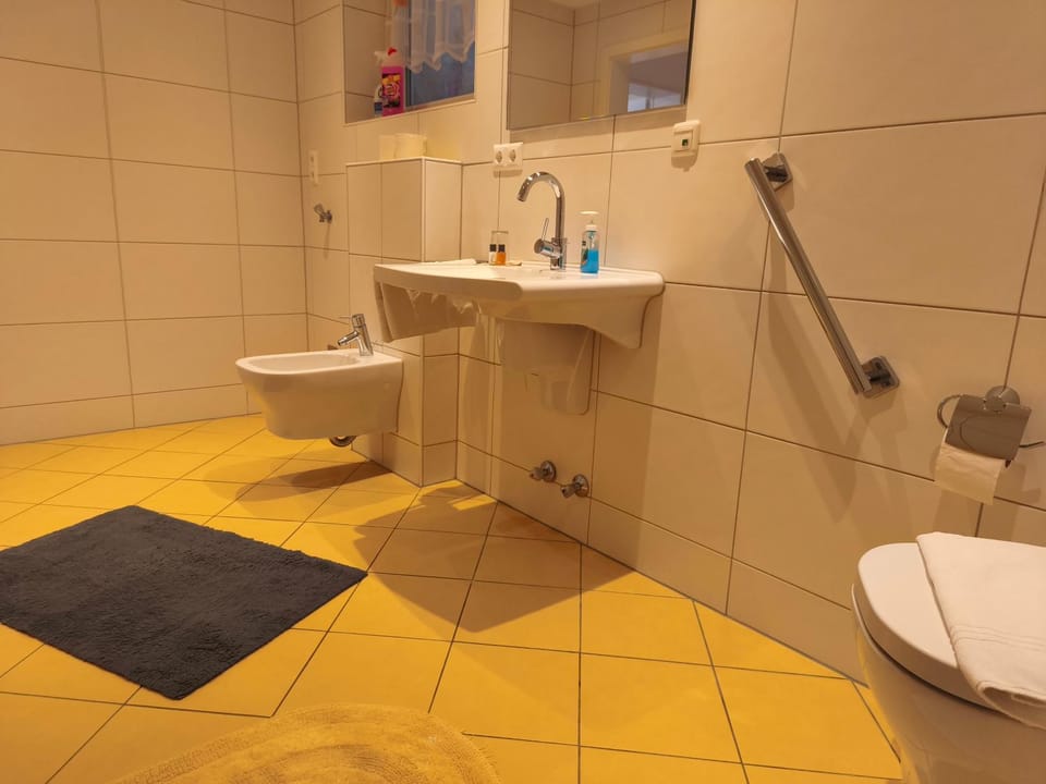 Shower, Toilet, Bathroom, bidet