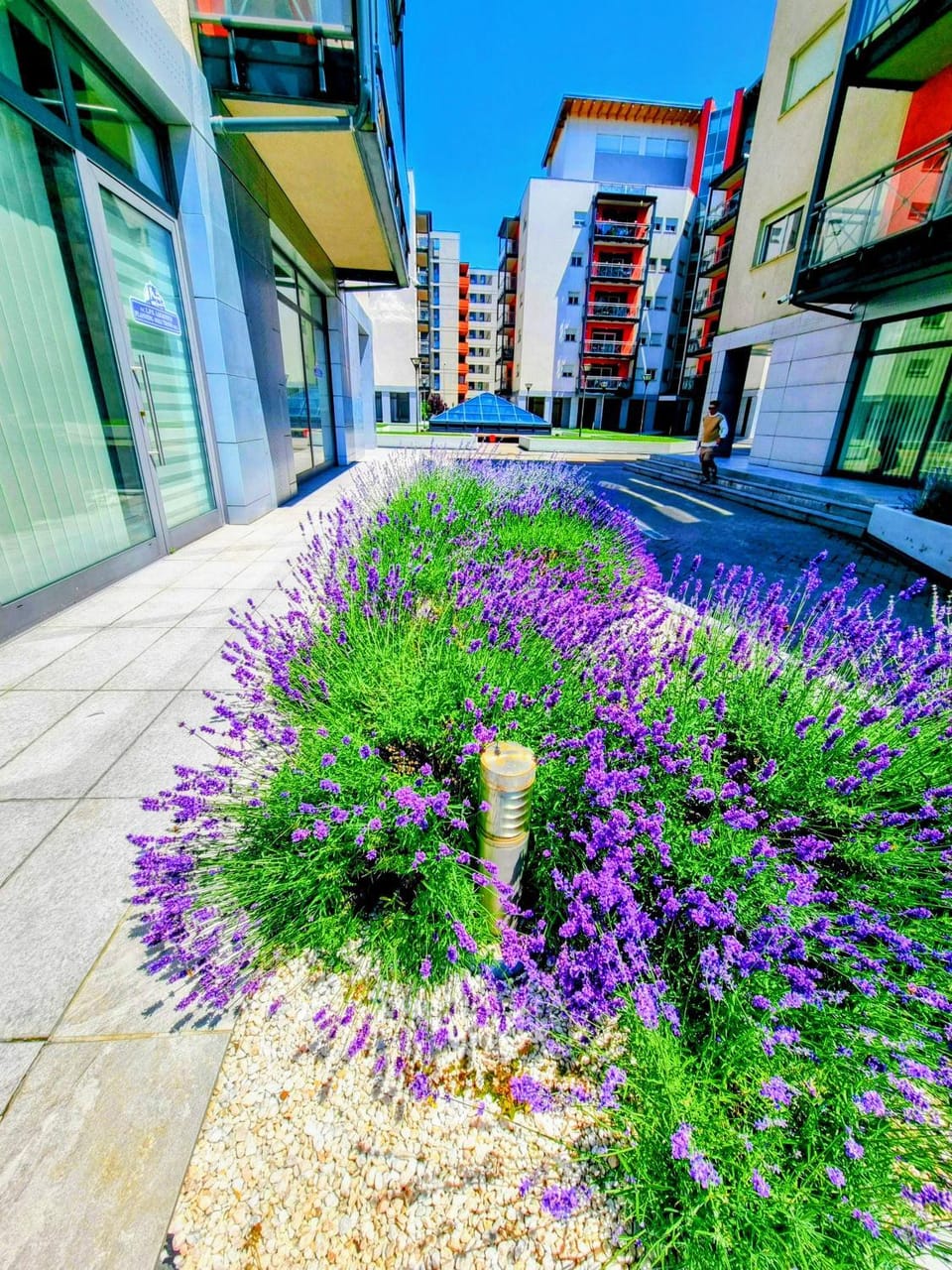 Property building, Day, Neighbourhood, Garden, Garden view, Location