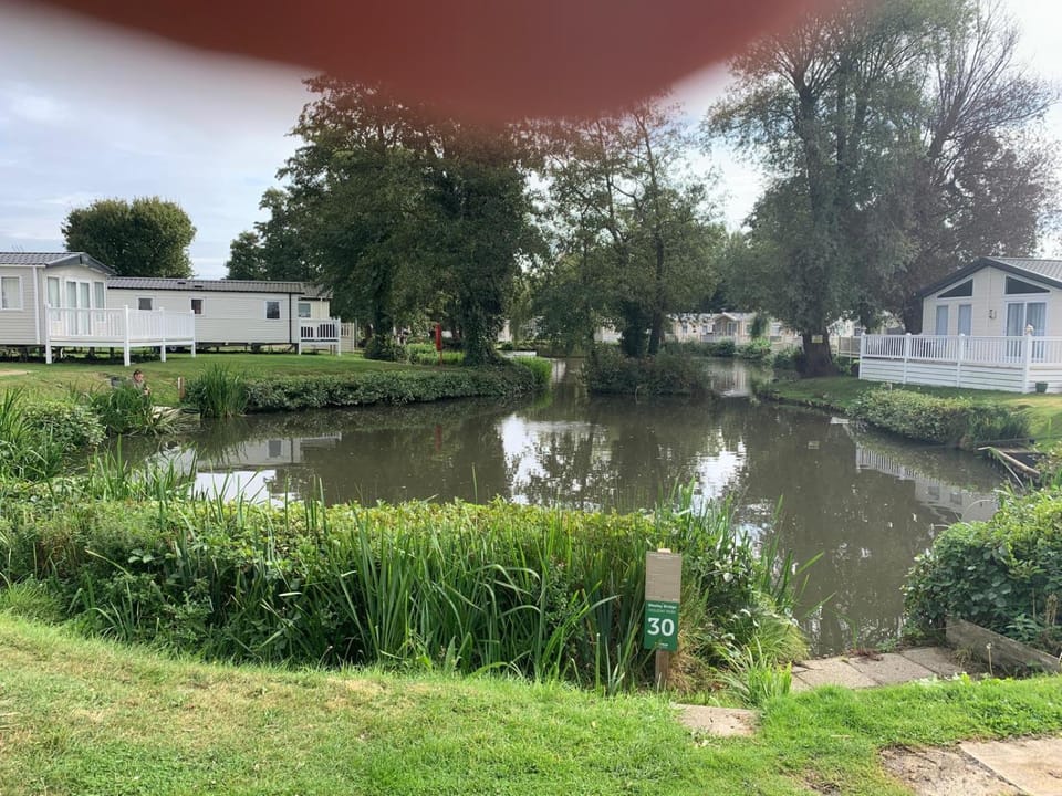 Fishing, Garden view
