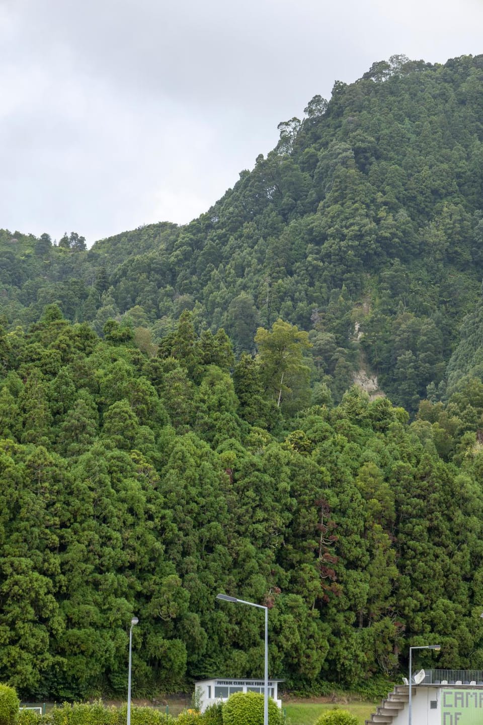 Natural landscape, View (from property/room), Mountain view