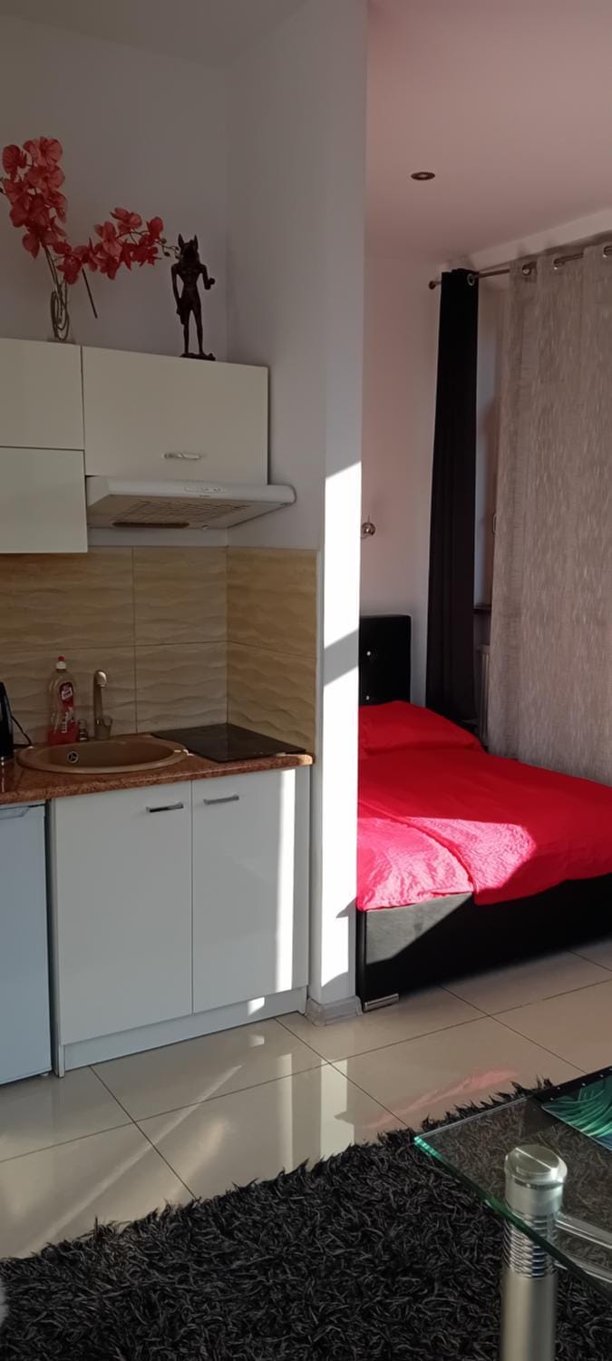 Apartamenty Opera Apartment in Wroclaw
