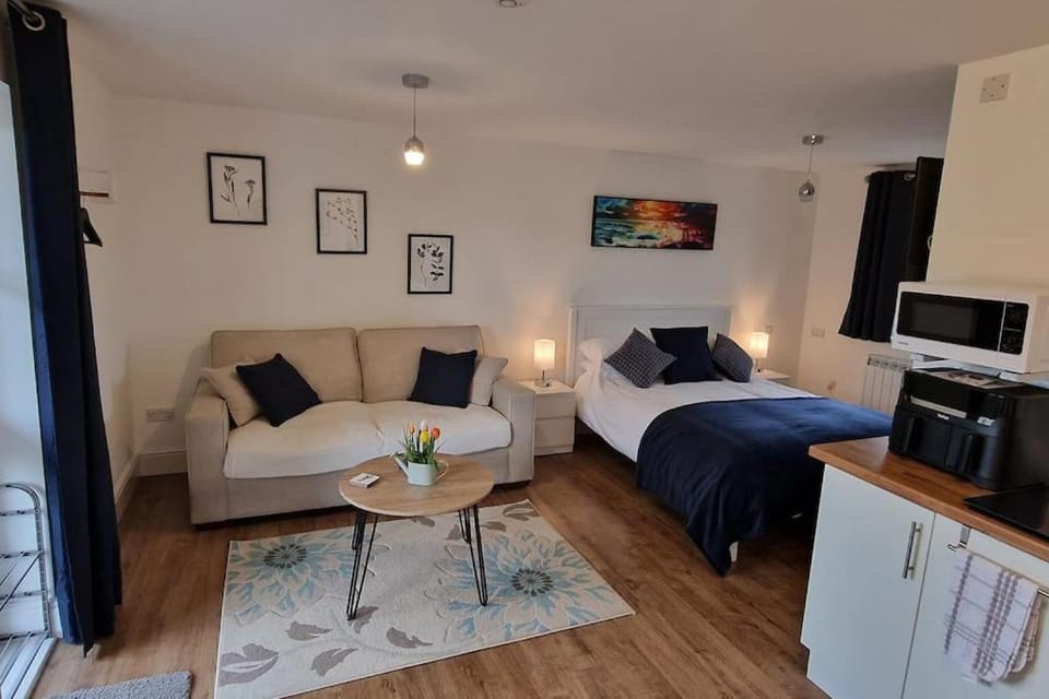 Bed, Kitchen or kitchenette, Living room, Seating area
