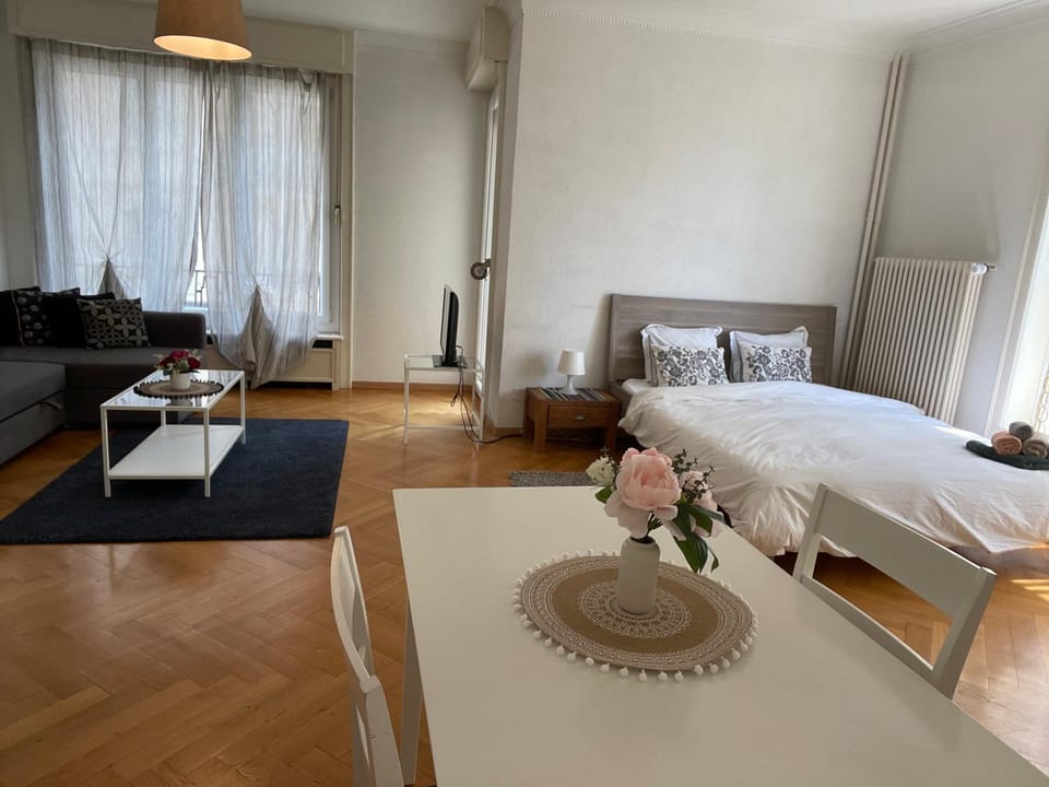 Proche de la gare de Lausanne Apartment in Lausanne