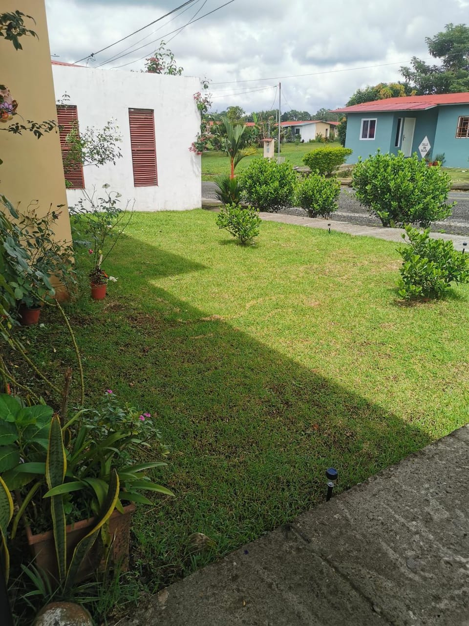 Neighbourhood, Natural landscape, Garden, Garden view