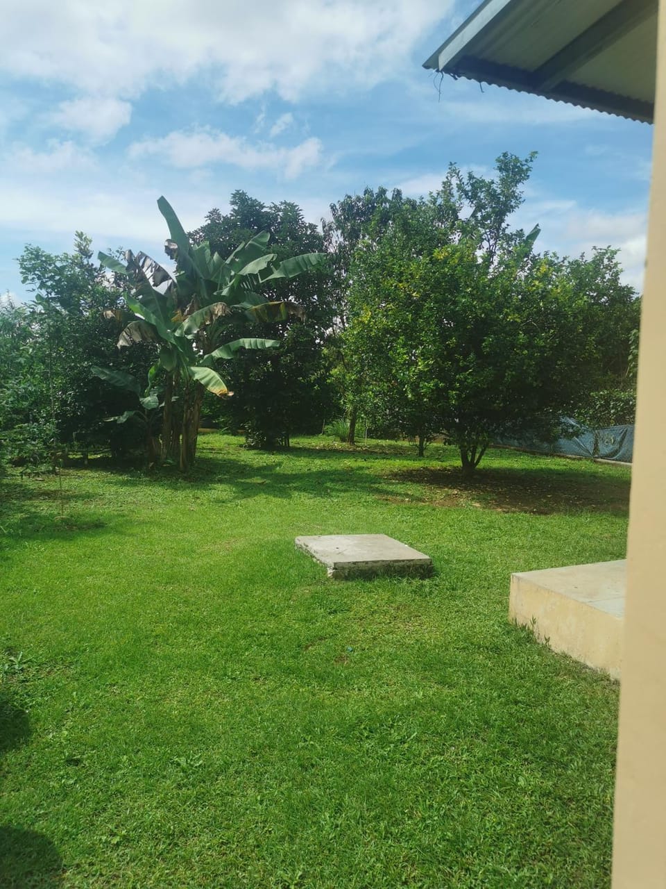 Natural landscape, Garden, Garden view