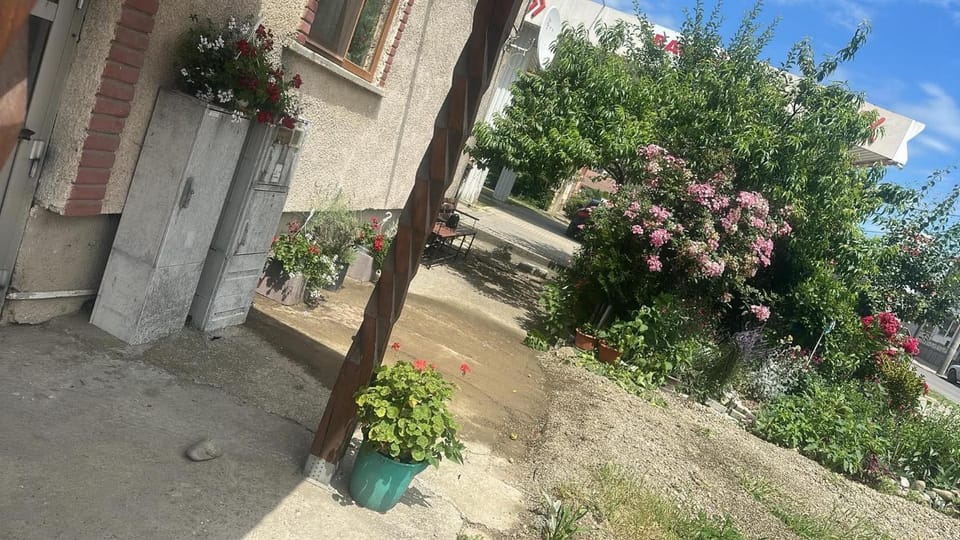 LaMaria Apartment in Timiș County