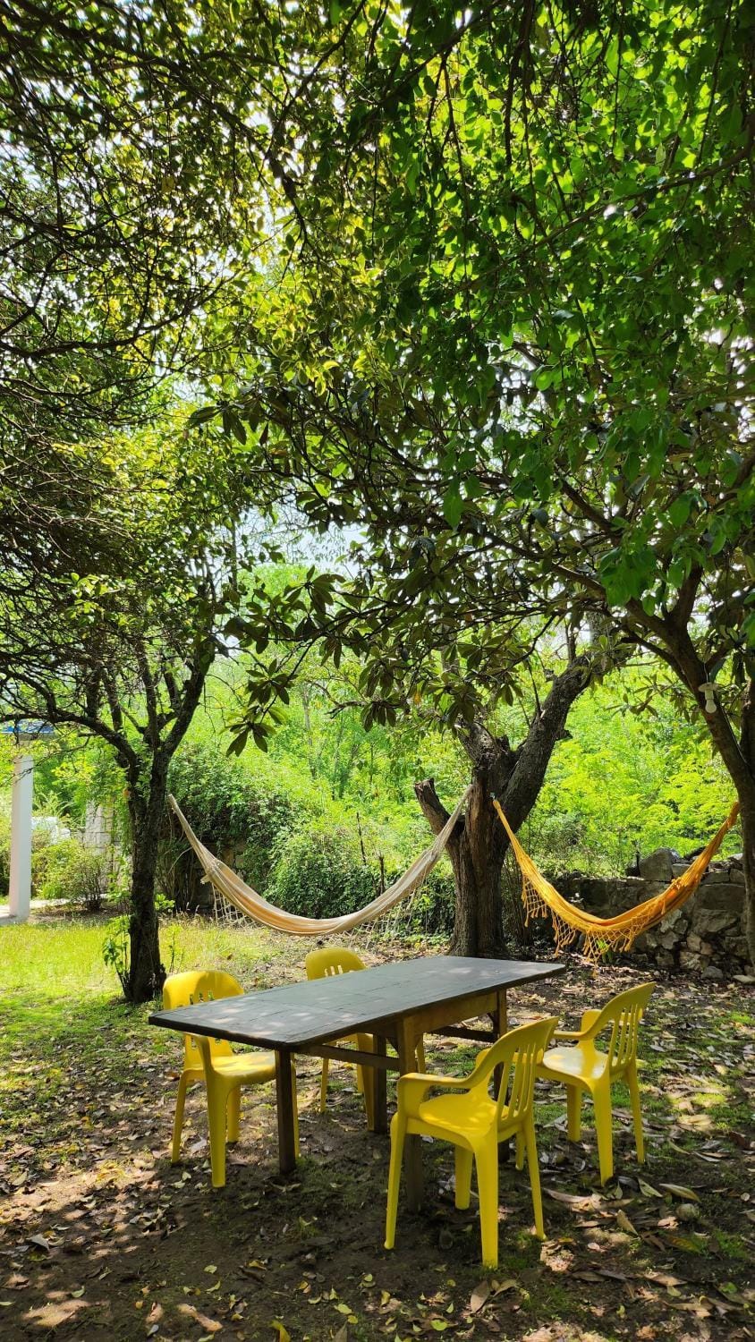 Spring, Natural landscape, Garden, Dining area, Garden view