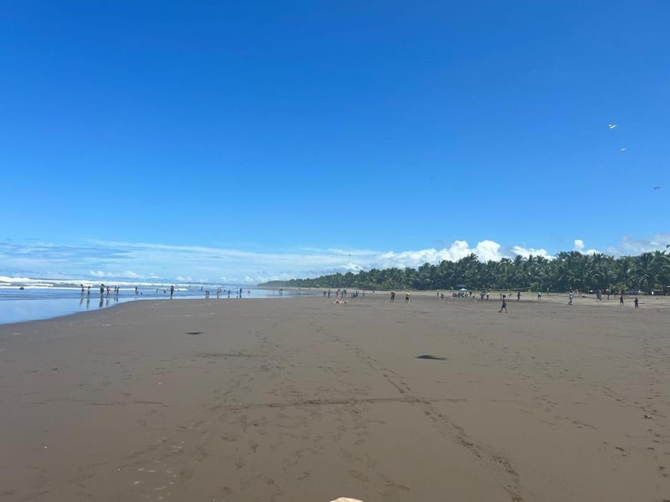 Natural landscape, Beach