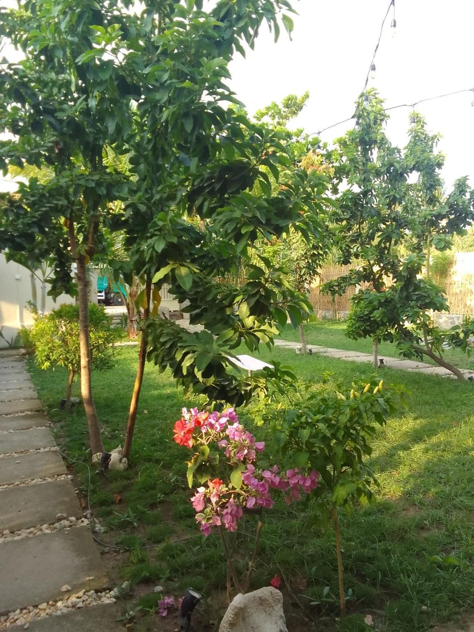 Spring, Day, Natural landscape, Garden, Garden view