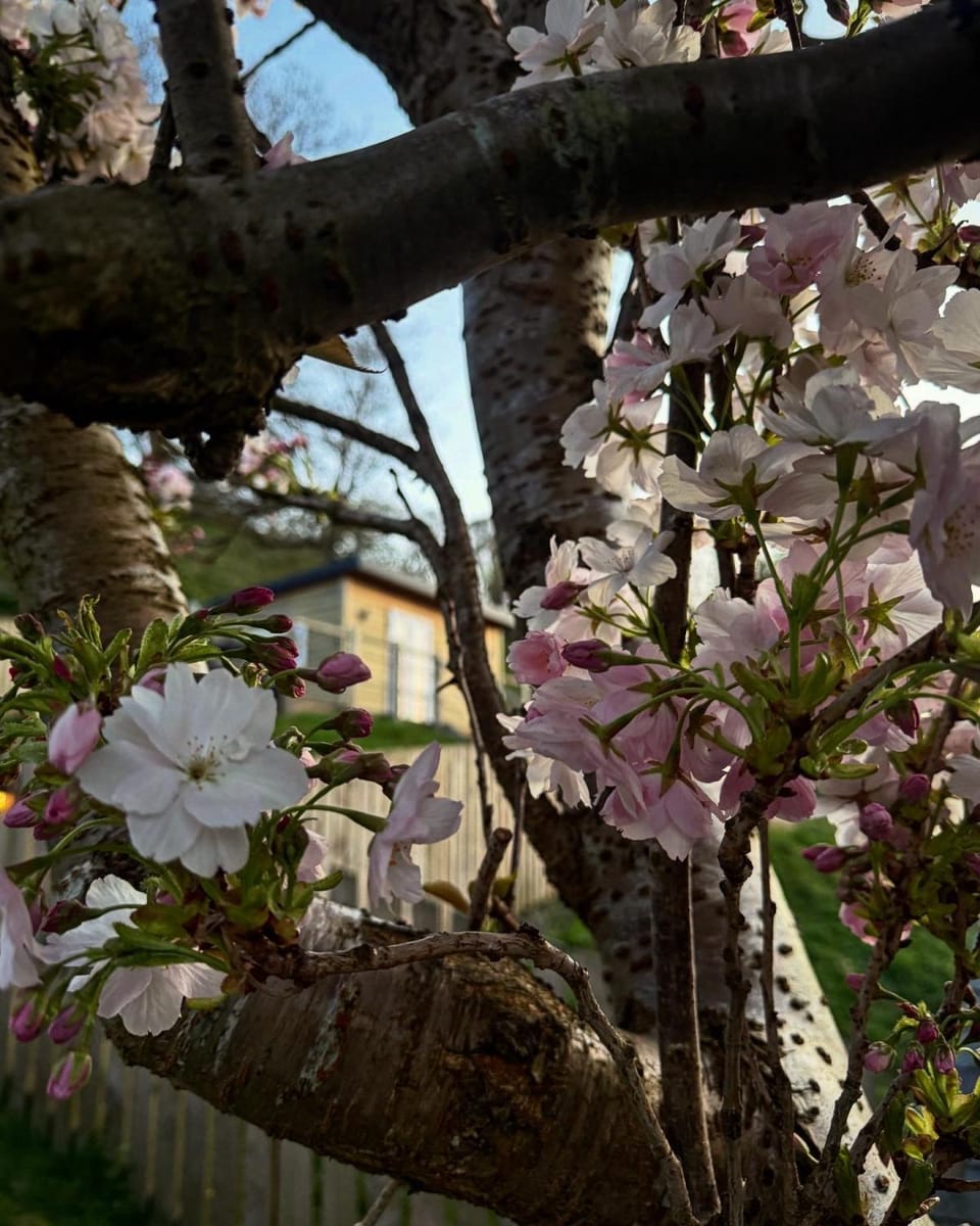 Castle View chalet Chalet in Llangollen