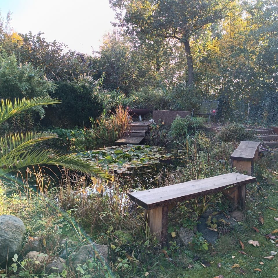 FEWO Villa Farbenfroh Monteurzimmer Garten Wlan 3SZ 120qm Apartment in Lower Saxony, Germany