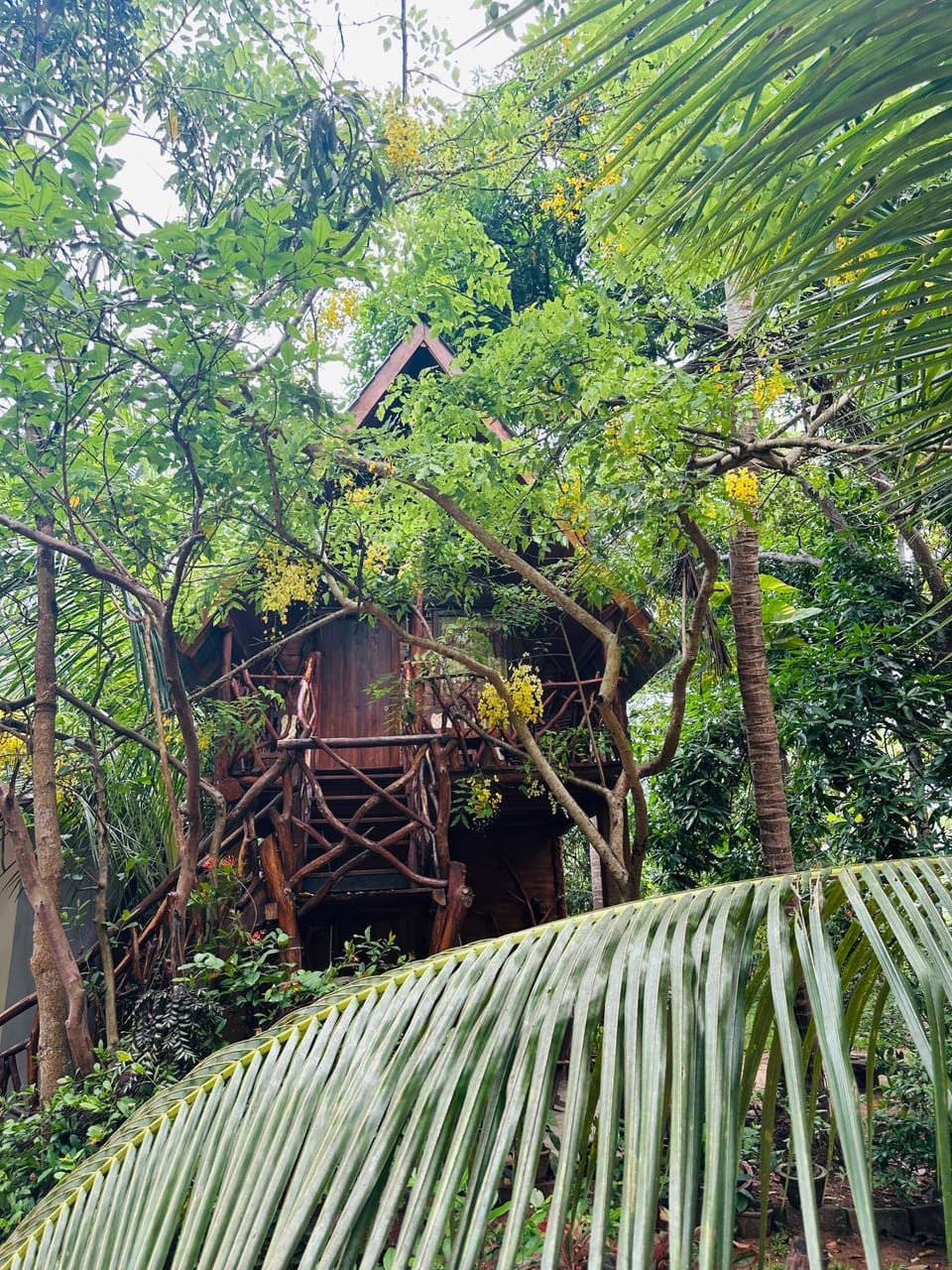 Garden view