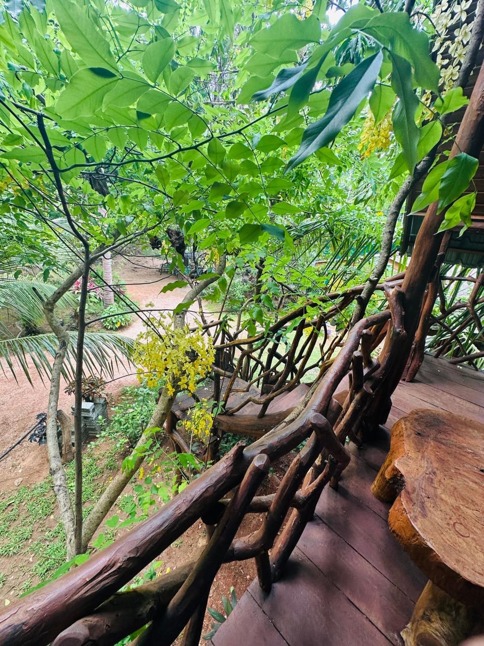 Natural landscape, Garden view