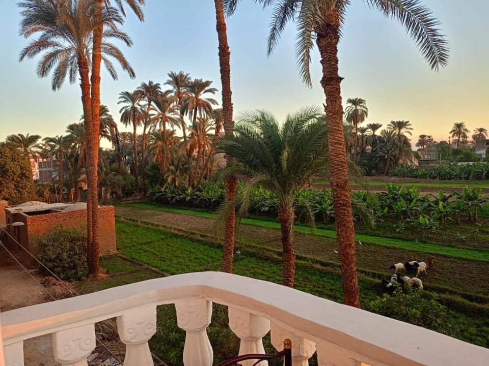 Djorff Guest House Villa in Luxor