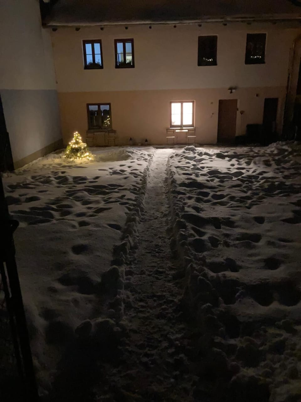 Garden view
