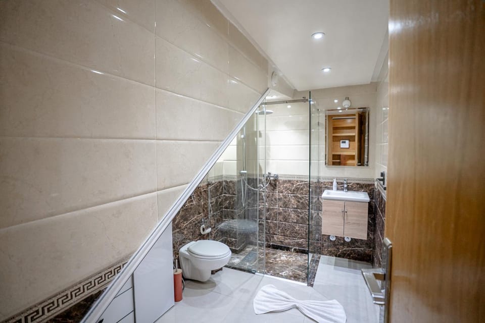Shower, Toilet, Bathroom, towels
