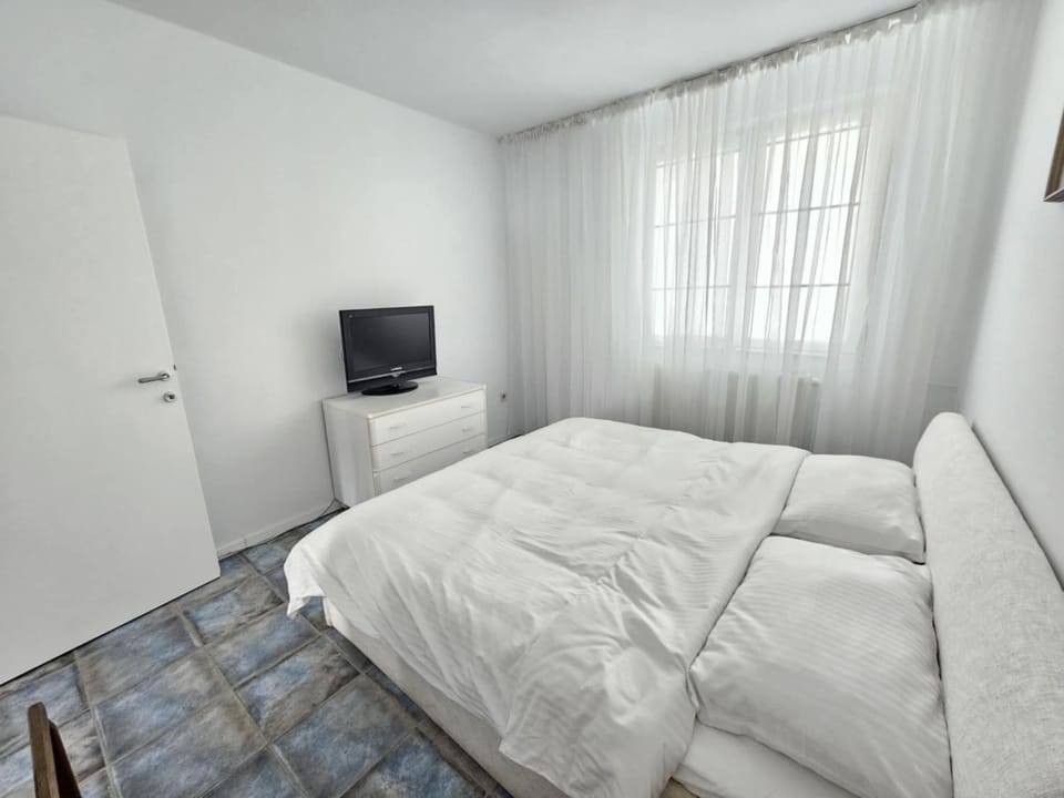 Victoriei 7 Apartment in Timisoara