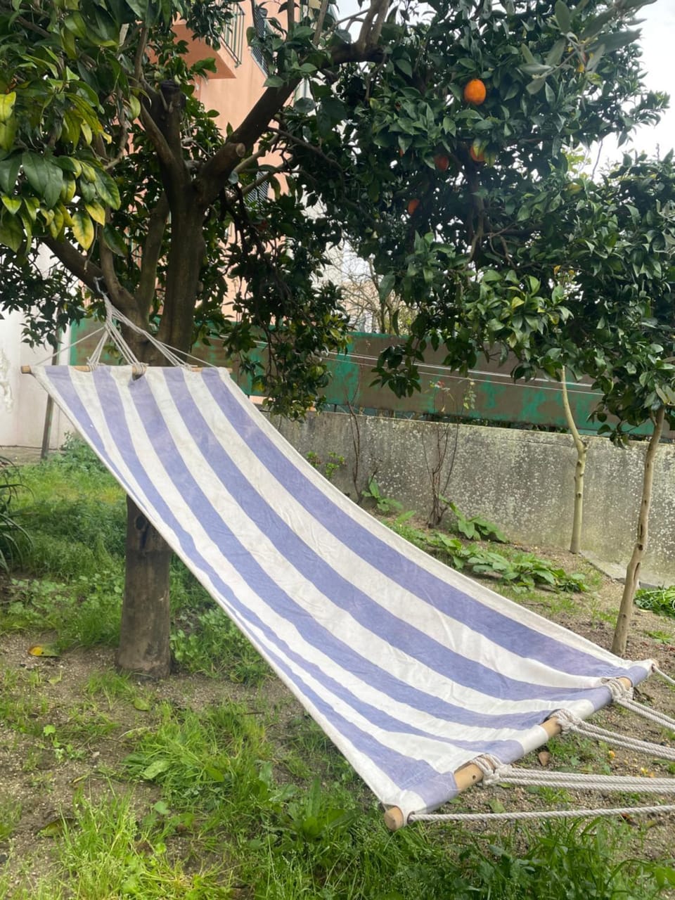 Natural landscape, Garden, Garden view