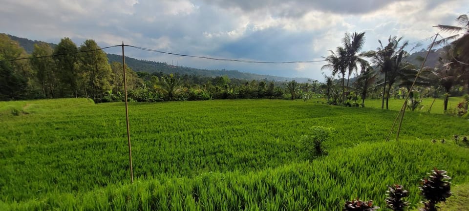 Pondok Kalanganyar Nature lodge in Bali