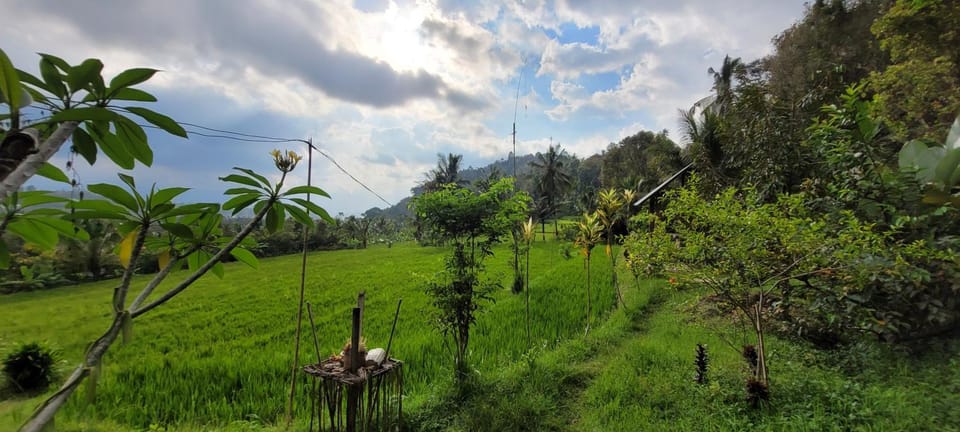 Pondok Kalanganyar Nature lodge in Bali