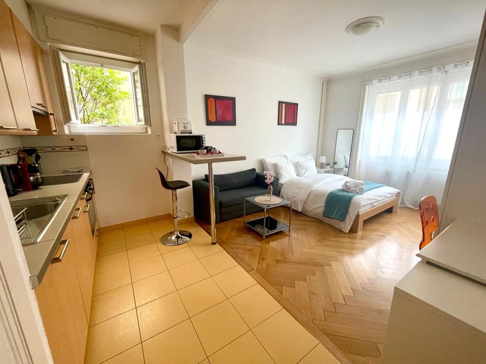 Down Town Studio Apartment in Lausanne