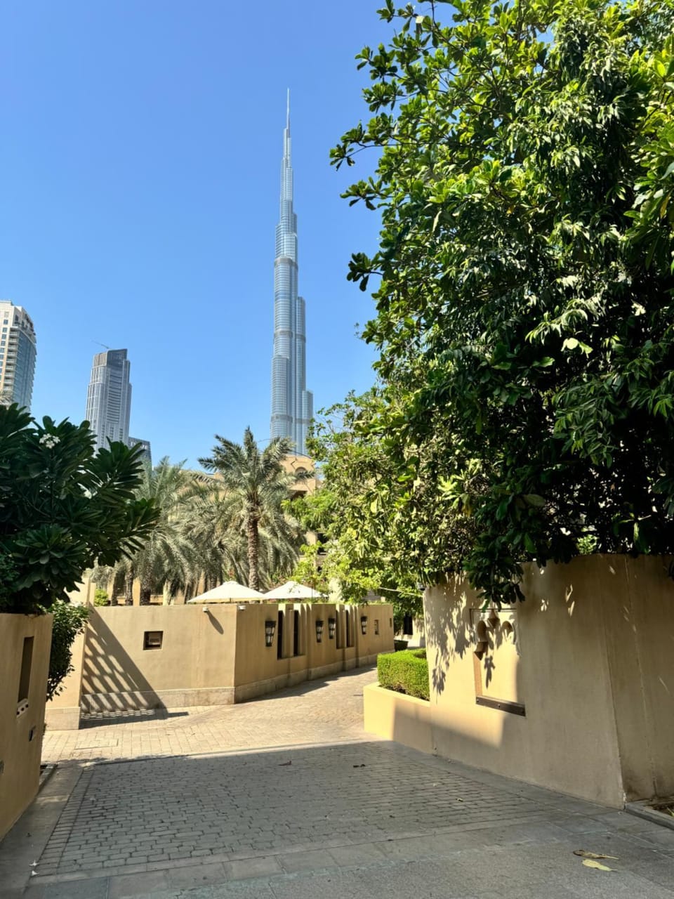 Property building