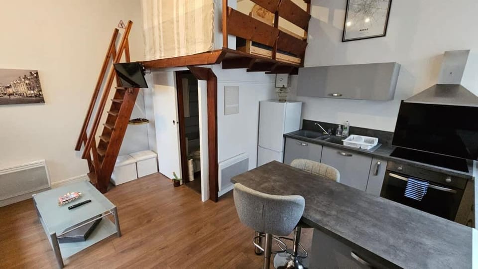 Old Arras studio avec mezzanine Apartment in Arras