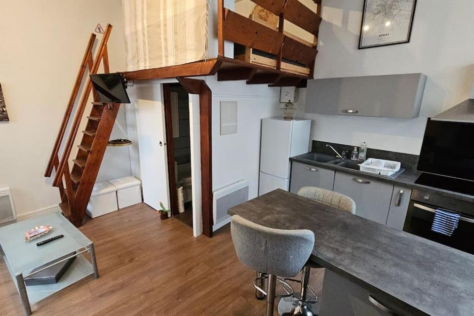 Old Arras studio avec mezzanine Apartment in Arras