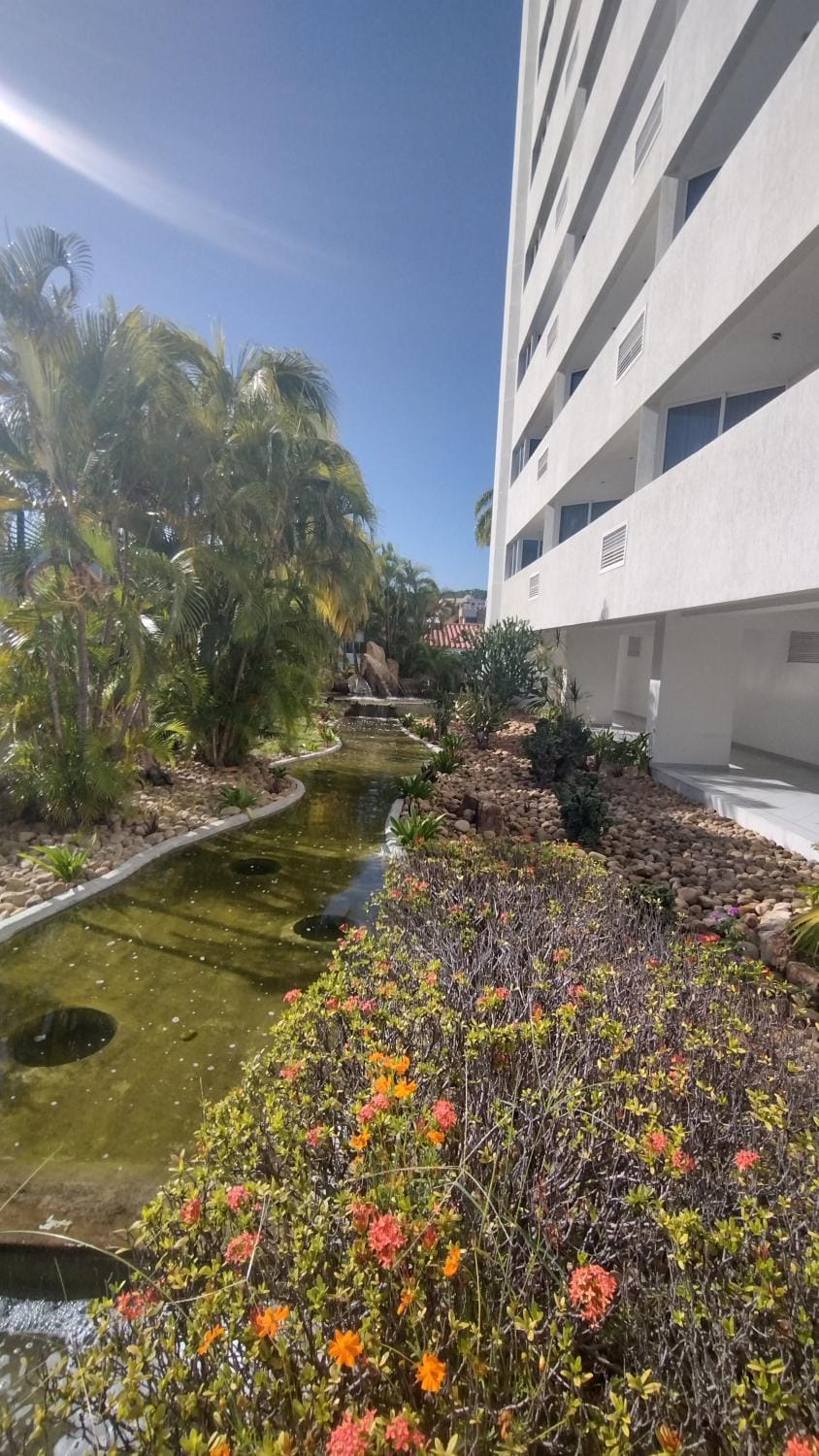 Garden view