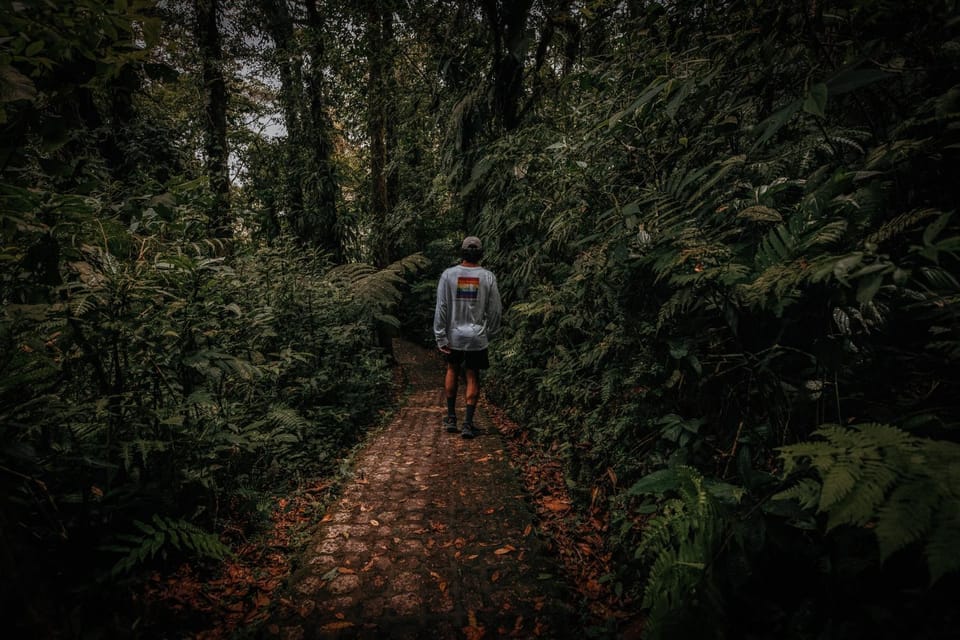 Hiking