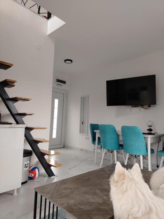 Djina 3 Divcibare Apartment in Zlatibor District, Serbia