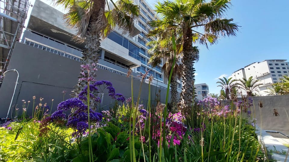 Property building, Garden