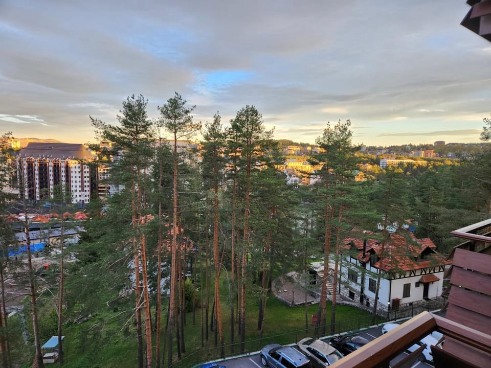 Green View Apartment with free garage parking Apartment in Zlatibor