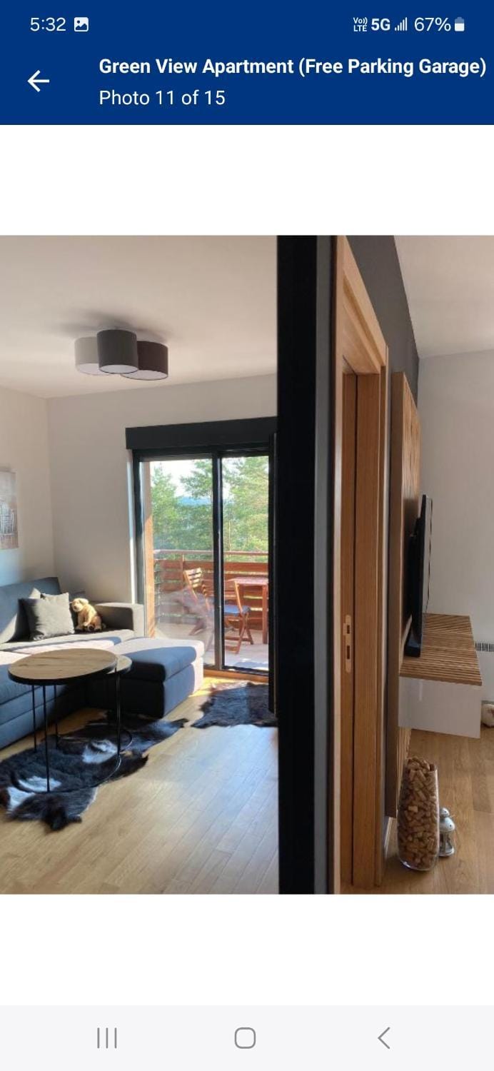 Green View Apartment with free garage parking Apartment in Zlatibor
