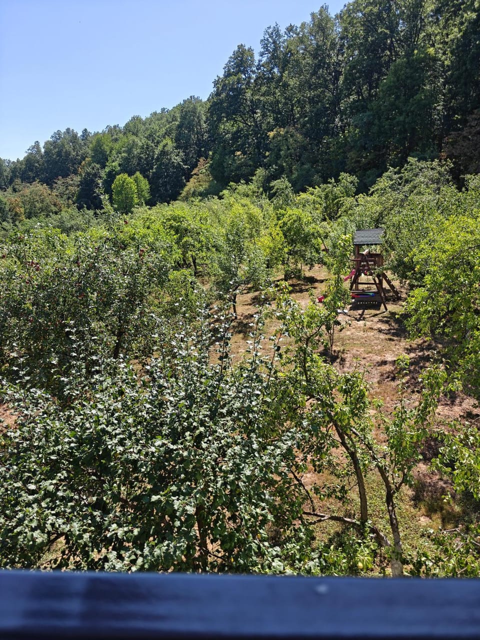 Garden, View (from property/room), Garden view