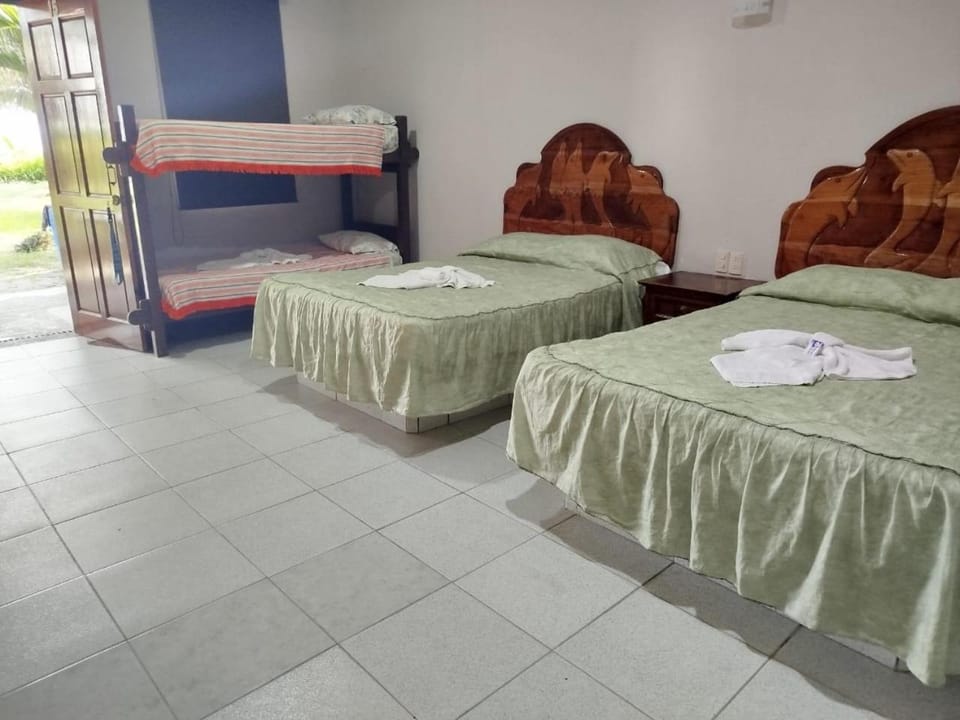 Photo of the whole room, Bedroom, bunk bed