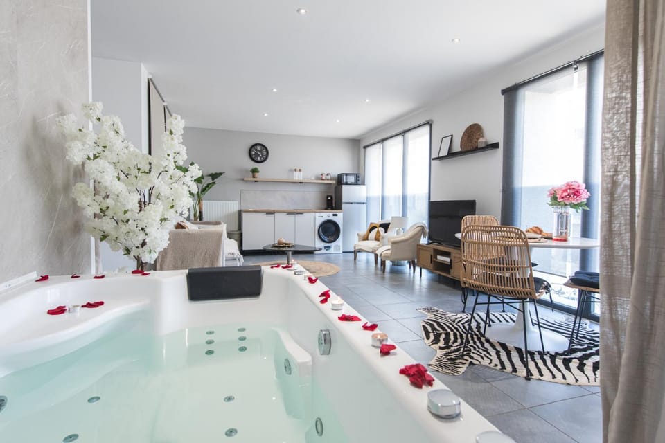 BALI SPA détente à deux à 5 minutes de Tours centre Apartment in Tours