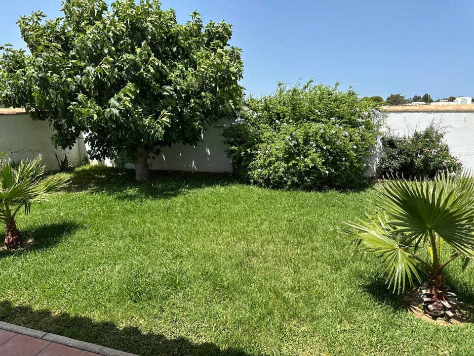 Garden view