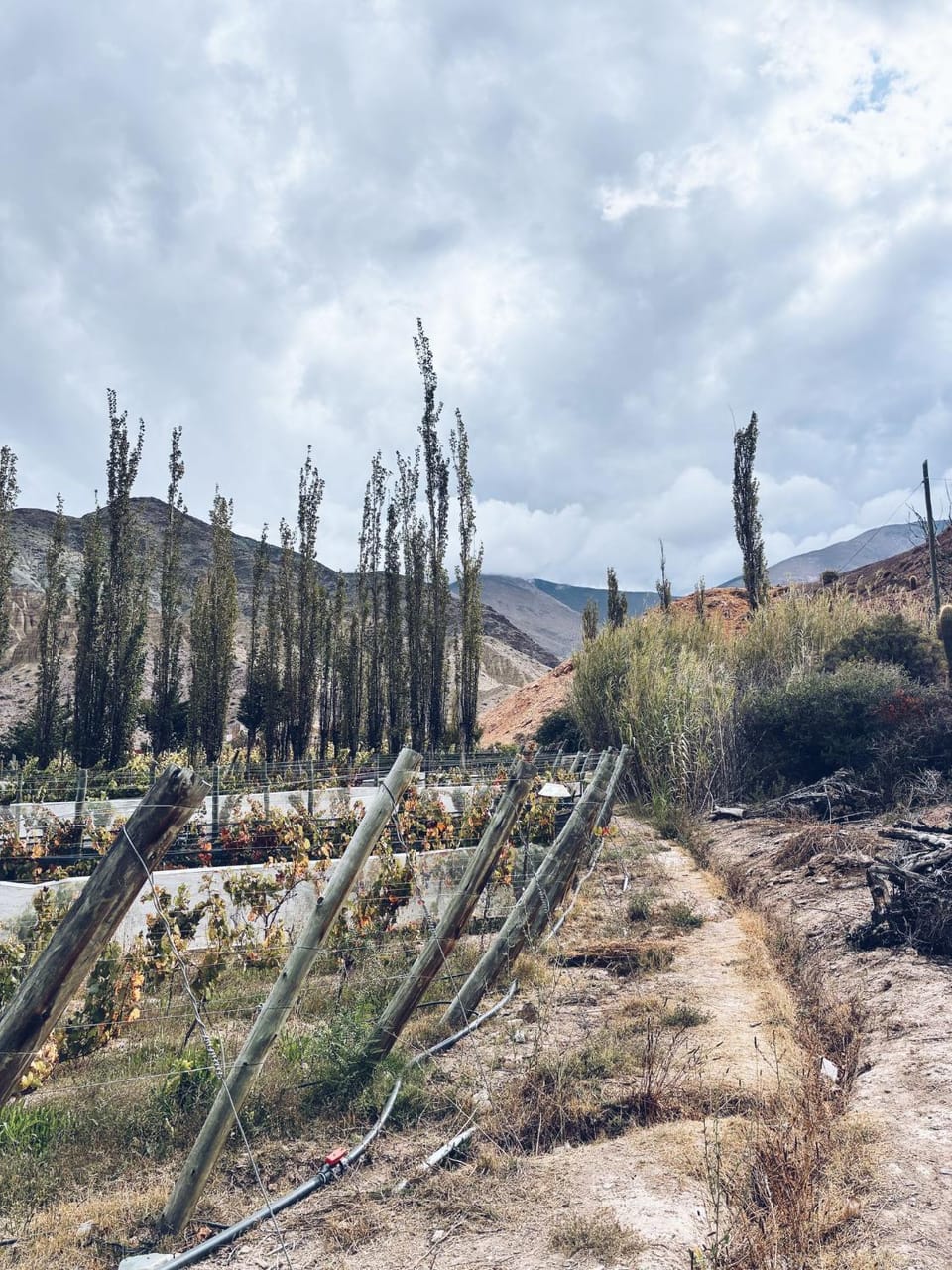 Cabaña la Viña House in Jujuy Province, Argentina