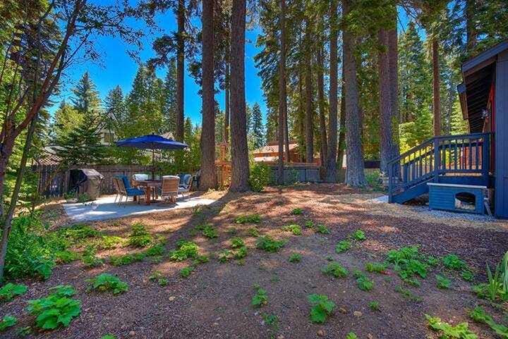 Bright Tahoe Home with Private Backyard Near Beach House in Tahoe City