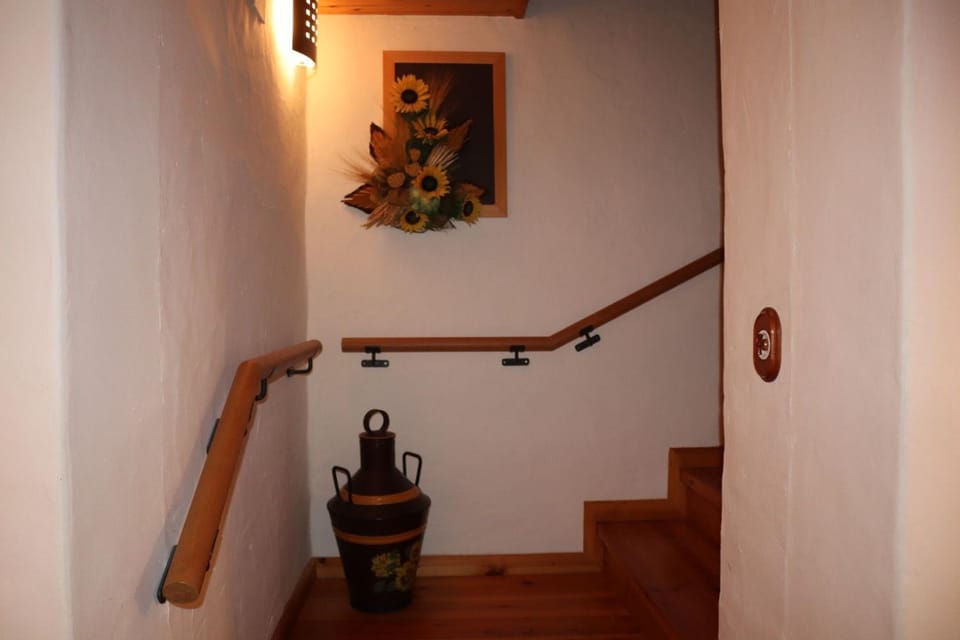 ERA CASETA de Salardu Chalet in Catalonia