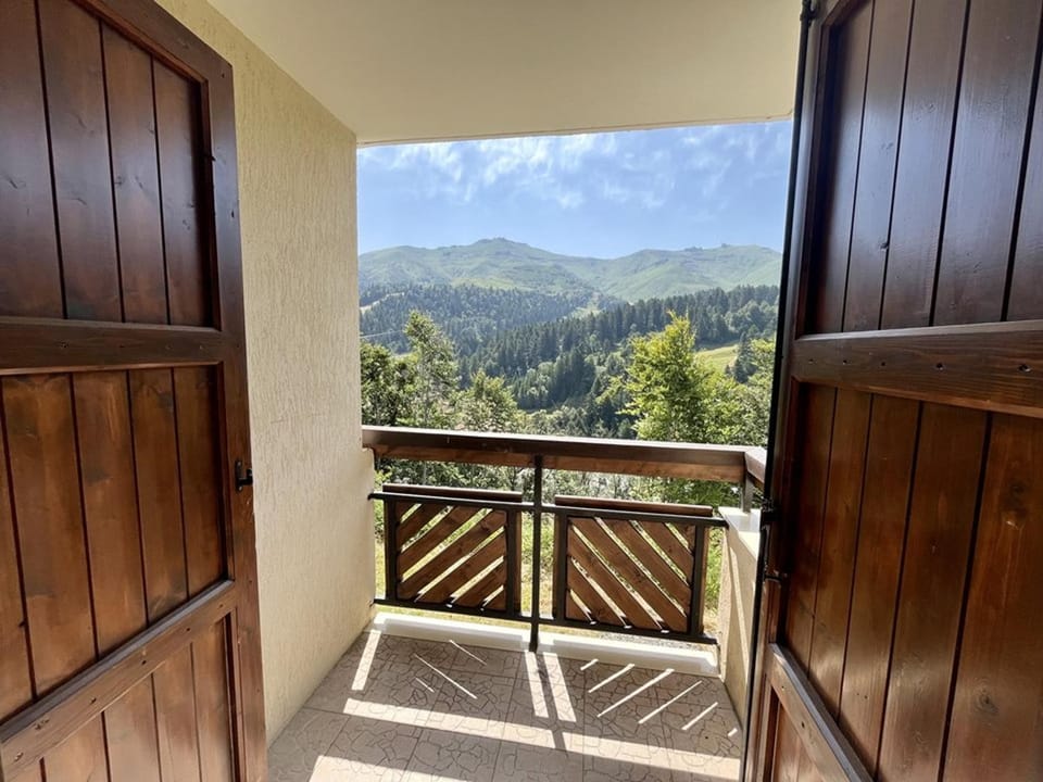 Charmant T2 proche pistes avec parking et balcon - FR-1-787-79 Apartment in Auvergne-Rhône-Alpes