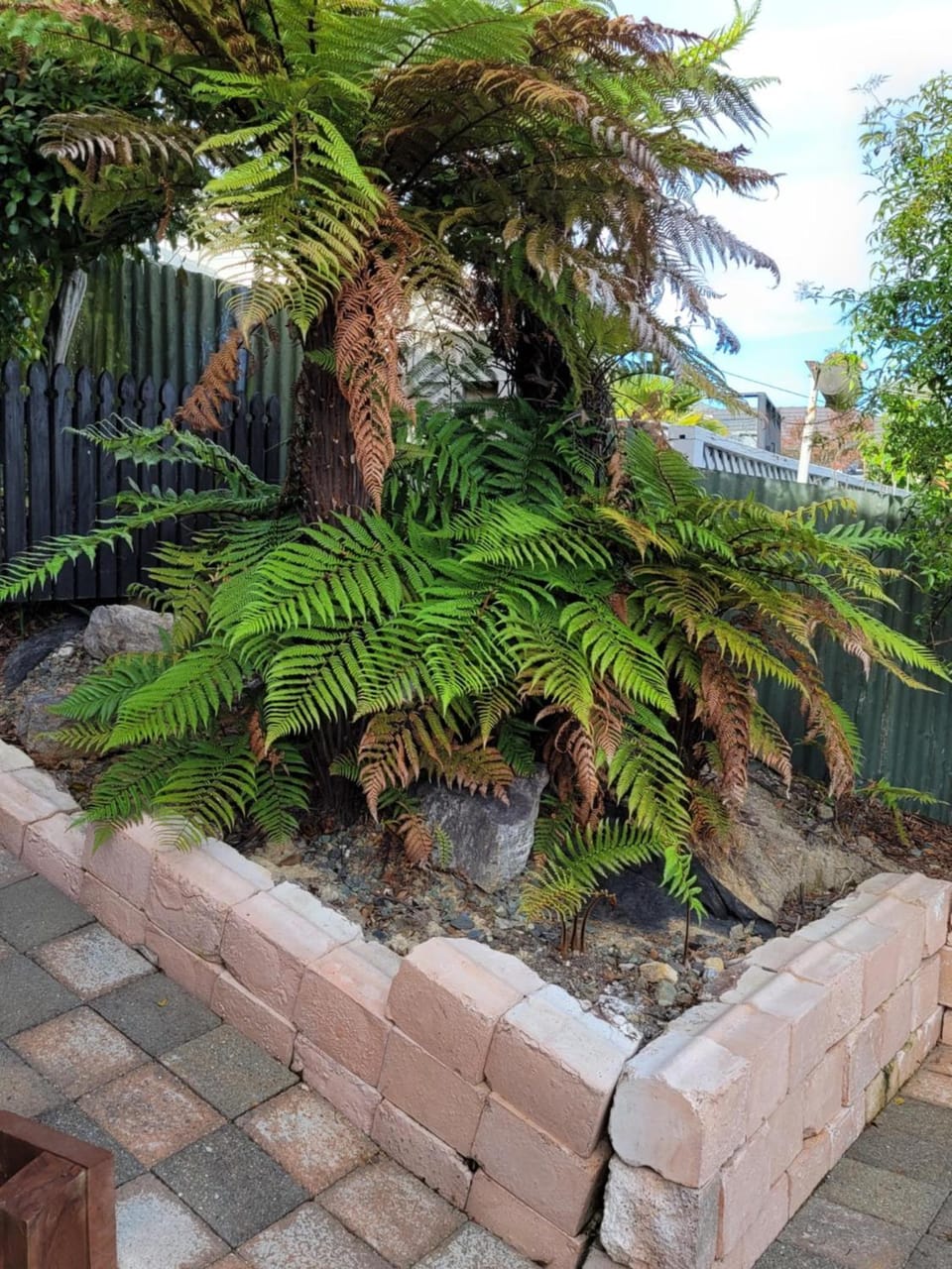 Garden view