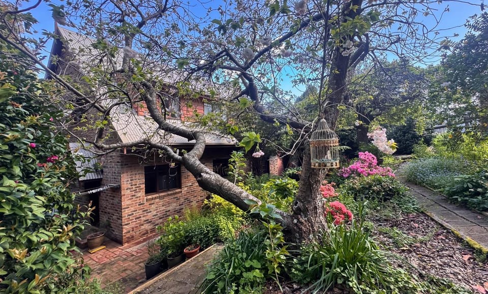Spring, Day, Garden, Garden view