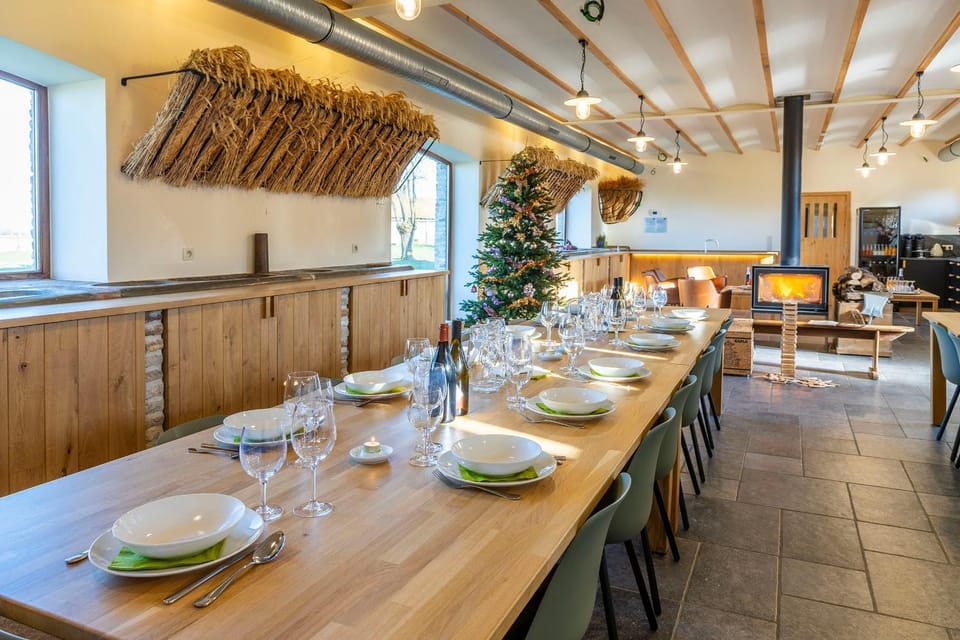 Food and drinks, Banquet/Function facilities, Dining area, group of guests